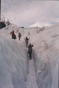 Glacier walking in South Island