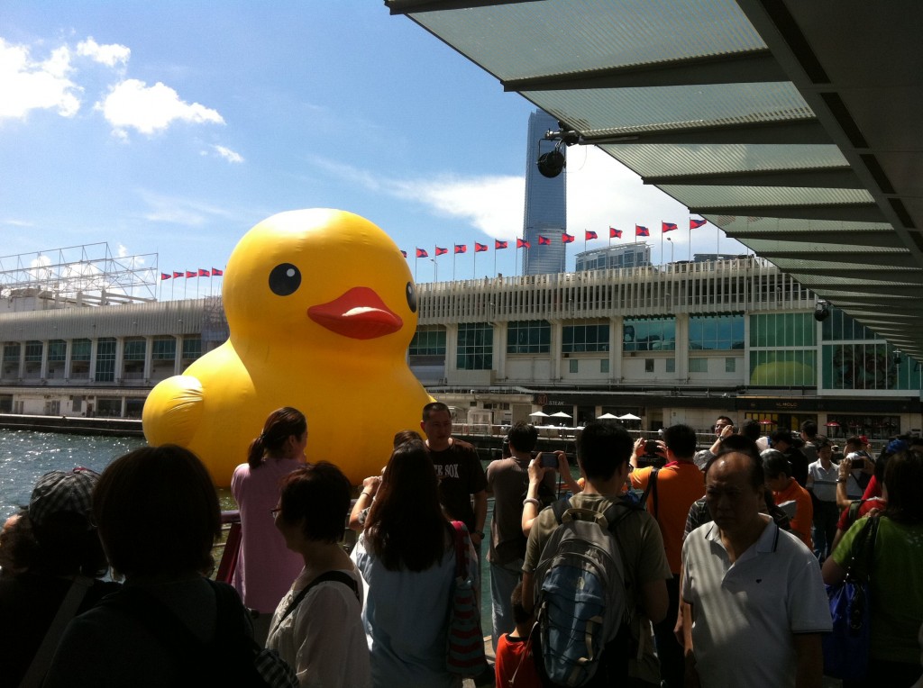 The Duck with its adoring fans all trying to get a shot of it.