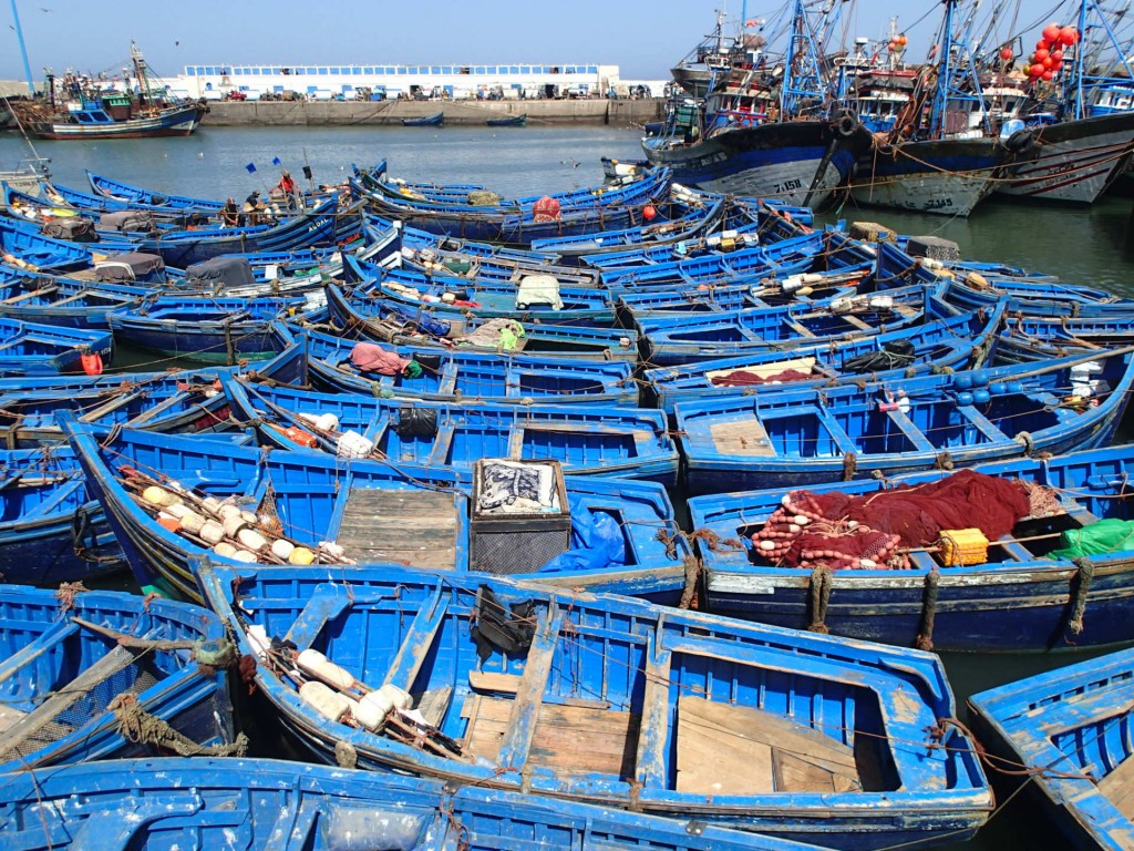 Fishing boats in the port of Essaouira