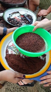 sifting the ground beans