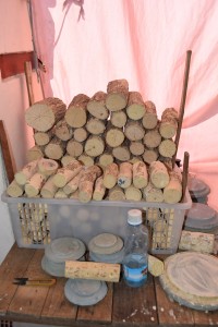 wood used to prepare the thanaka paste