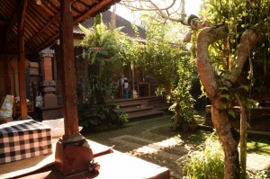 The village homestay house we stayed in, near Ubud in Bali