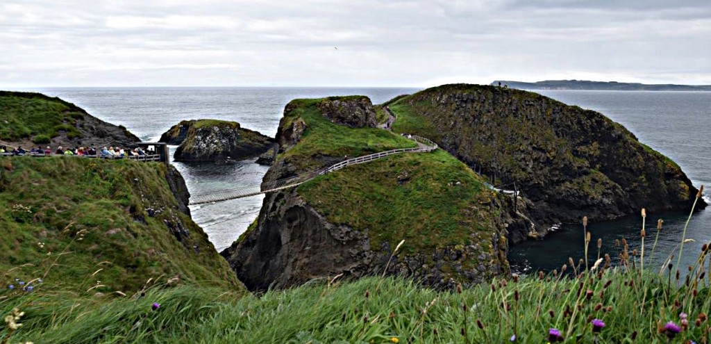 The rope bridge