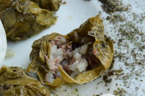 Dolma